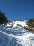 /Ski/2008/Images/1506/mini-Photo FRe 021Icon.jpg